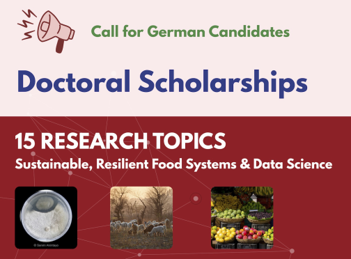 Scholarships & Opportunities